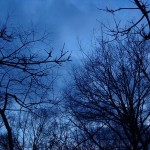 Winter Nights and the Healing of the Soul